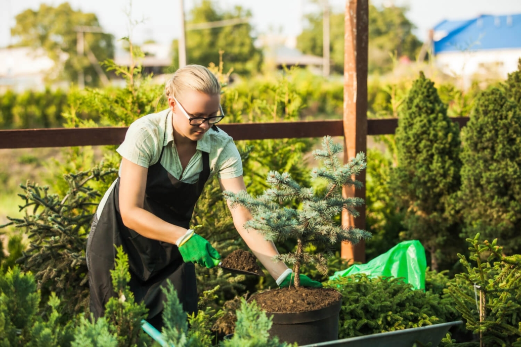 Floreria trabajando plantulas — Prevención de riesgos laborales en la jardinería
