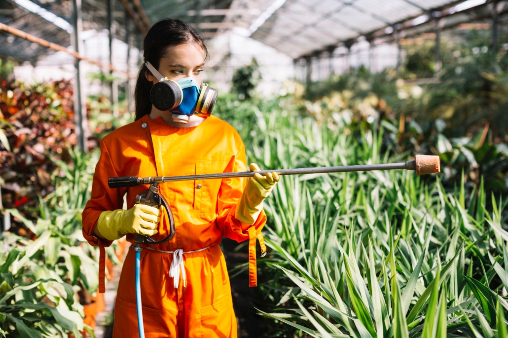 Jardinero sexo femenino rociador que coloca invernadero — La importancia de la prevención de riesgos laborales en fitosanitarios